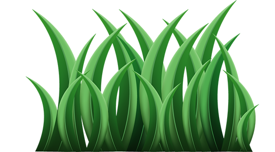 Hoog en dik gras